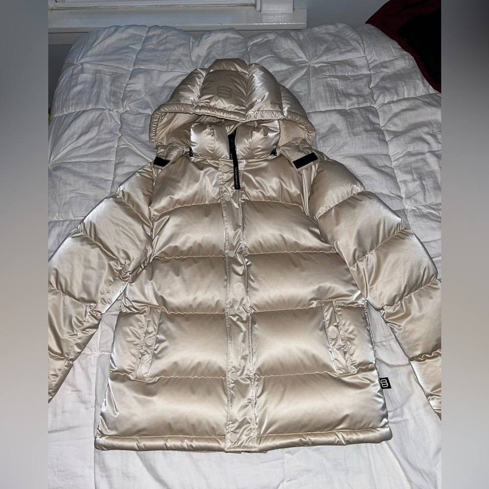 Aritzia Super Puff - Liquid Shine goose down puffer jacket in Matte Pearl